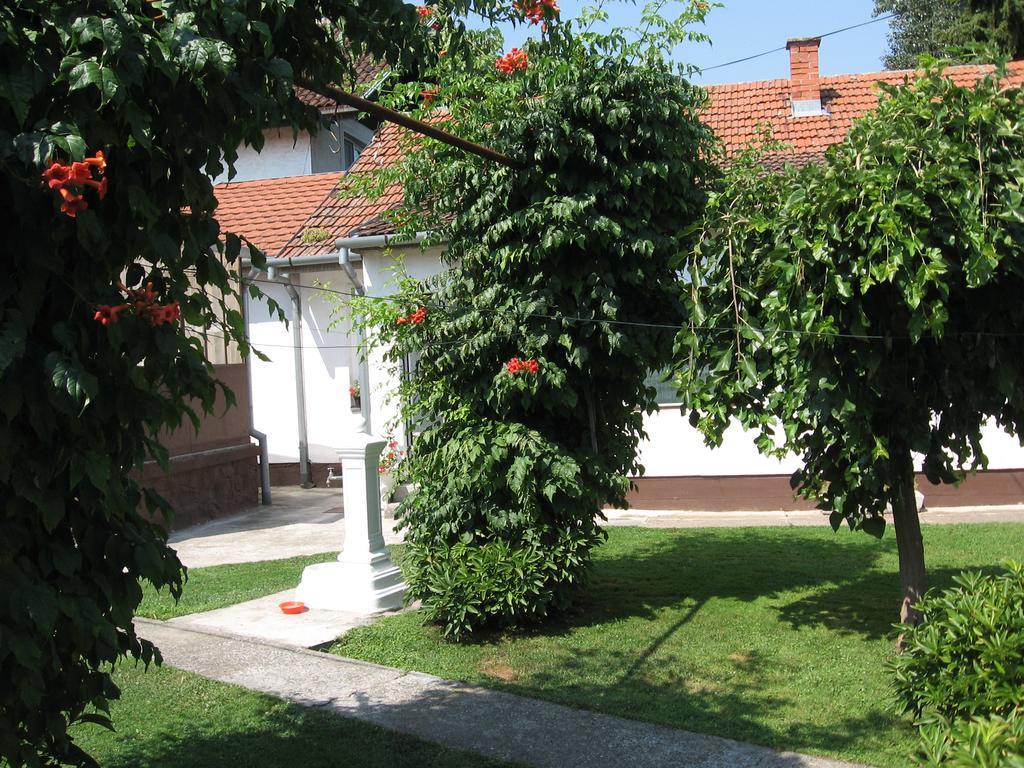 Green Apartment Novi Sad Extérieur photo